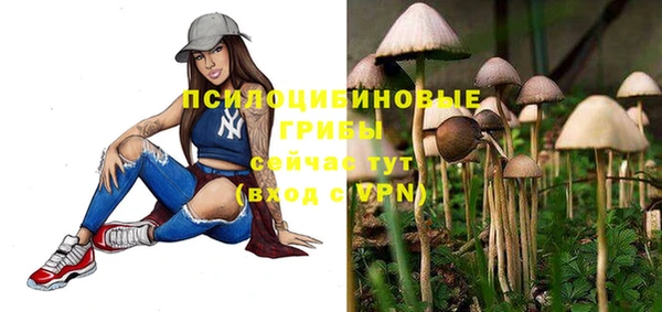 дурь Костерёво