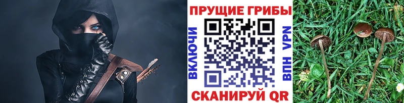 Галлюциногенные грибы мицелий  Нелидово 